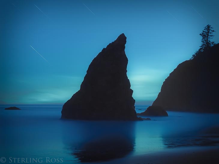Bows and Arrows - Fine Art Photography of the Olympic Peninsula